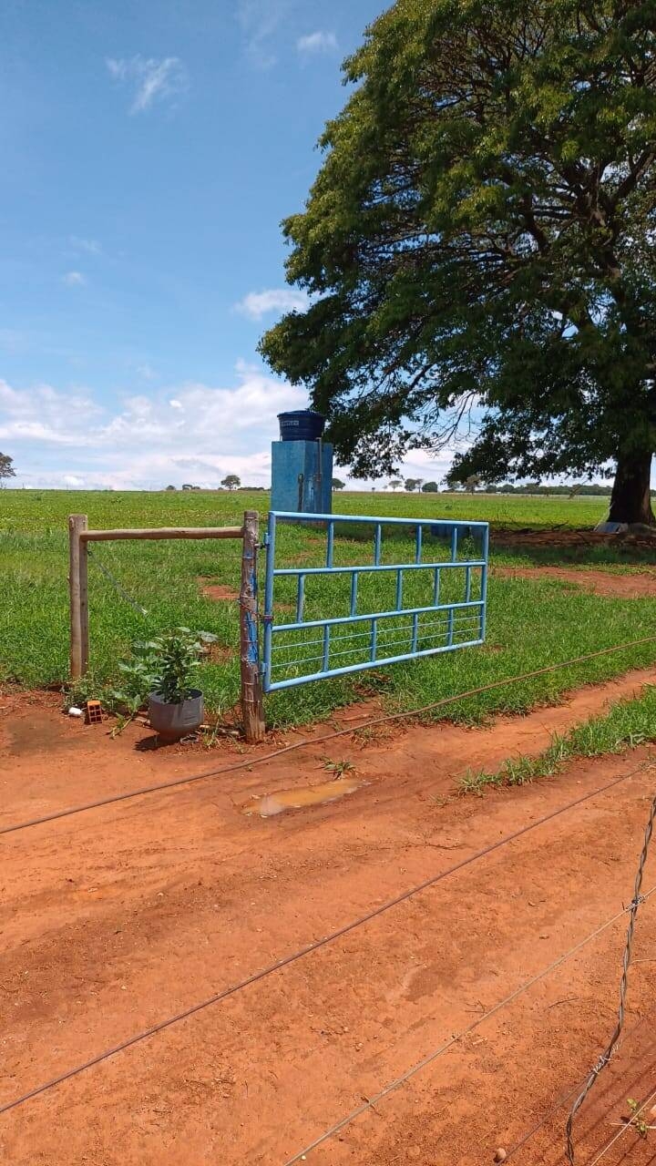 Chãozão - O Maior Portal de Anúncios de Imóveis Rurais do Brasil.