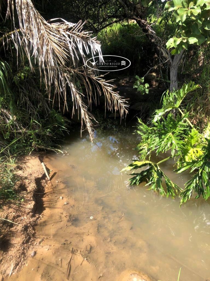 Fazenda em Iporá/Goiás — Ref FKIJU6 — Imagem 8