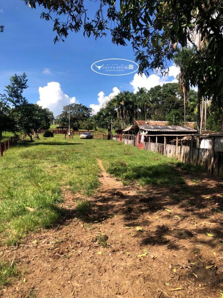 Fazenda em Iporá/Goiás — Ref FKIJU6 — Imagem 4