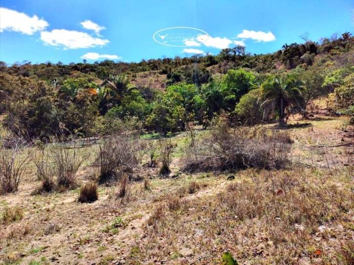 Fazenda em Iporá/Goiás — Ref FKIJU6 — Imagem 13