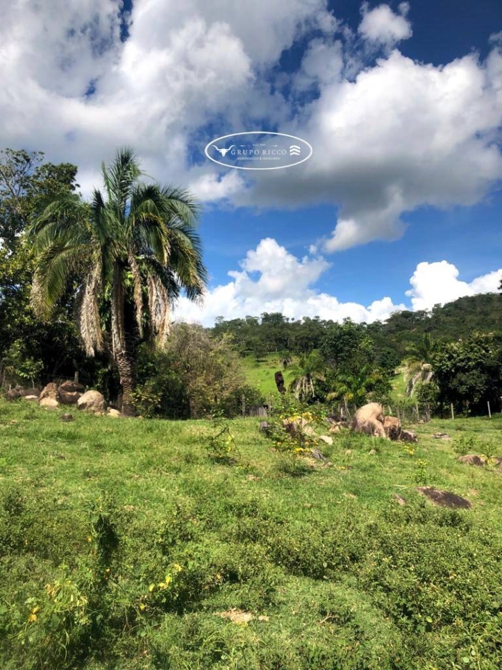 Fazenda em Iporá/Goiás — Ref FKIJU6 — Imagem 10