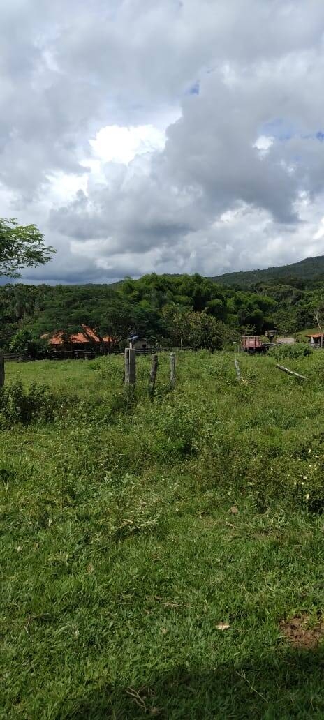 Chãozão - O Maior Portal de Anúncios de Imóveis Rurais do Brasil.