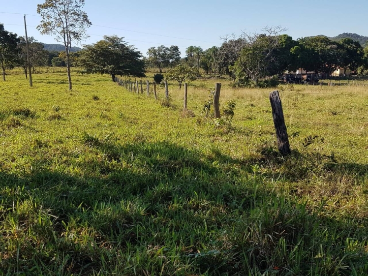 Chãozão - O Maior Portal de Anúncios de Imóveis Rurais do Brasil.