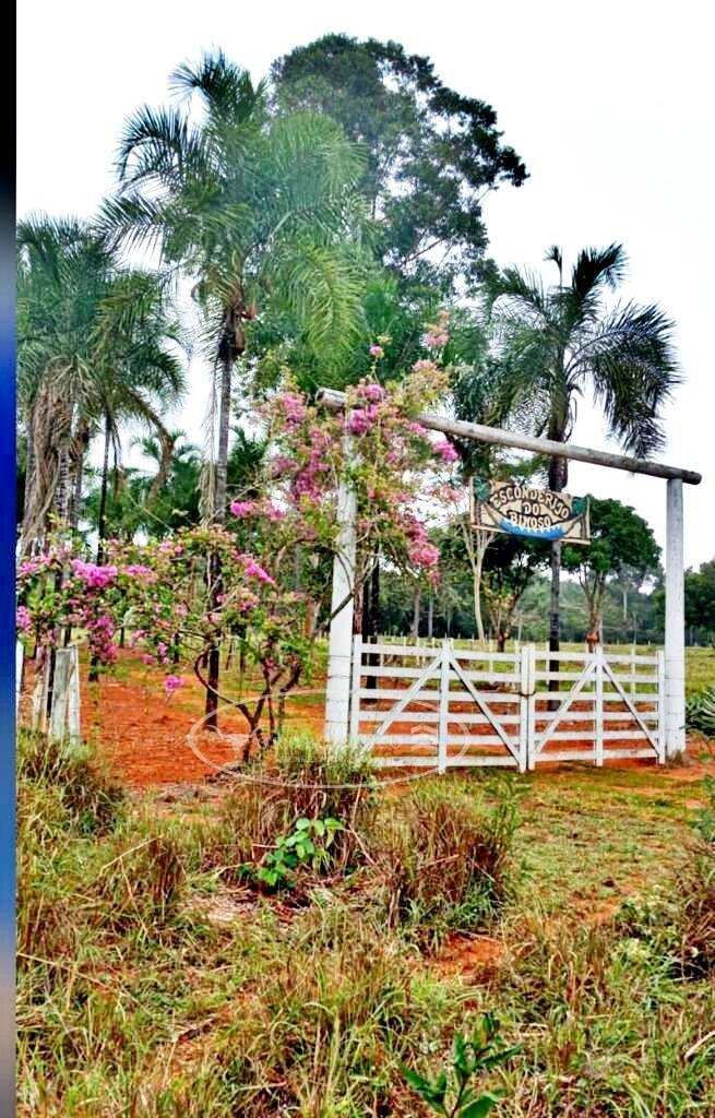 Chãozão - O Maior Portal de Anúncios de Imóveis Rurais do Brasil.