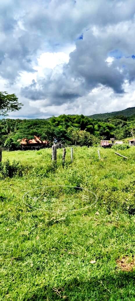 Fazenda em Ivolândia/Goiás — Ref 4QAZDA — Imagem 3