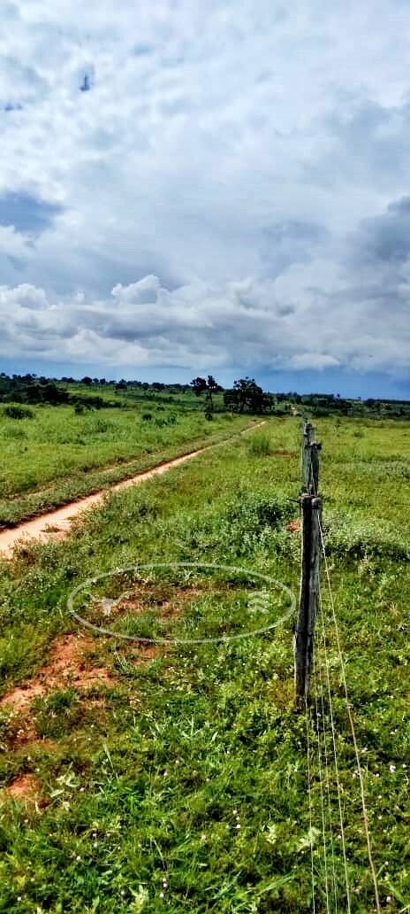 Fazenda em Ivolândia/Goiás — Ref 4QAZDA — Imagem 2