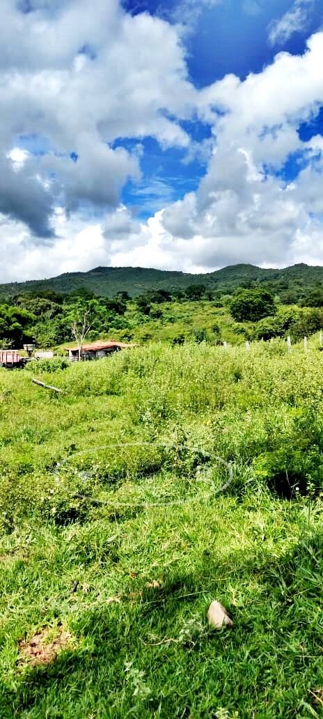 Fazenda em Ivolândia/Goiás — Ref 4QAZDA — Imagem 5