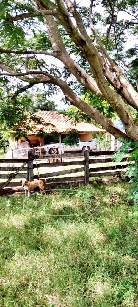 Fazenda em Ivolândia/Goiás — Ref 4QAZDA — Imagem 4