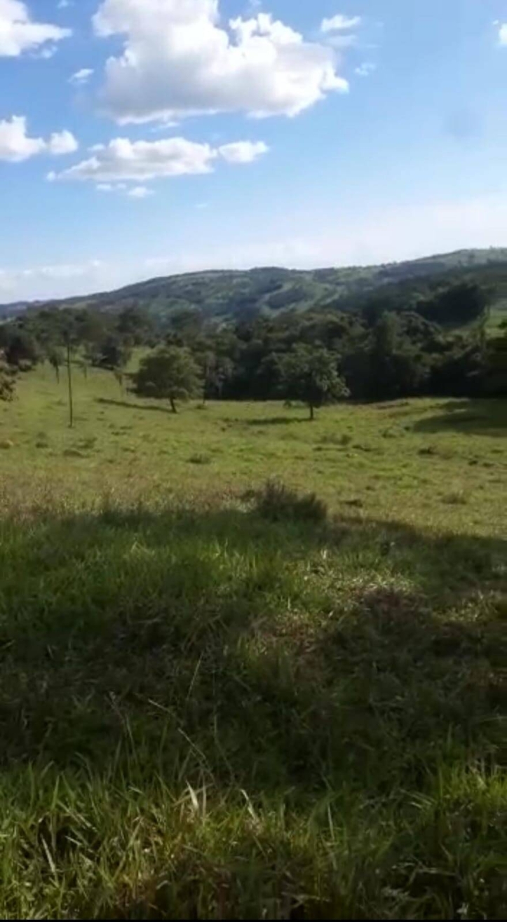 Fazenda em Córrego do Ouro/Goiás — Ref LNQ25Y — Imagem 3