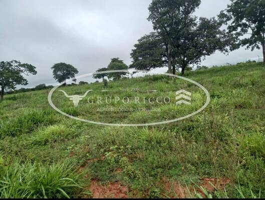Chãozão - O Maior Portal de Anúncios de Imóveis Rurais do Brasil.