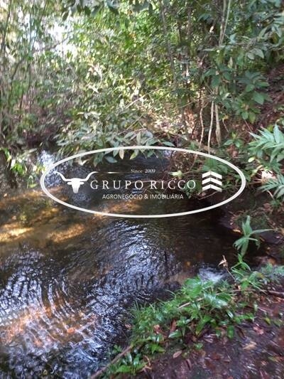 Chãozão - O Maior Portal de Anúncios de Imóveis Rurais do Brasil.