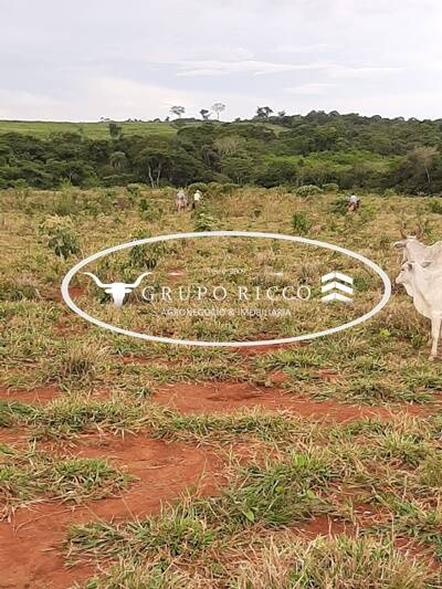 Chãozão - O Maior Portal de Anúncios de Imóveis Rurais do Brasil.