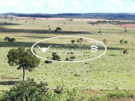 Chãozão - O Maior Portal de Anúncios de Imóveis Rurais do Brasil.
