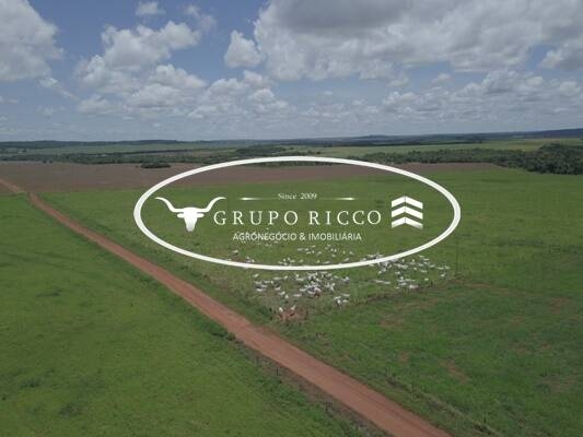 Chãozão - O Maior Portal de Anúncios de Imóveis Rurais do Brasil.