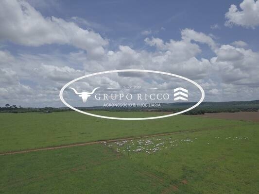 Chãozão - O Maior Portal de Anúncios de Imóveis Rurais do Brasil.
