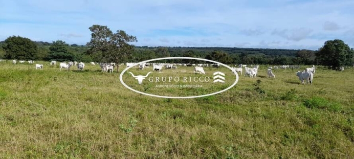 Chãozão - O Maior Portal de Anúncios de Imóveis Rurais do Brasil.