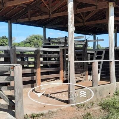 Chãozão - O Maior Portal de Anúncios de Imóveis Rurais do Brasil.