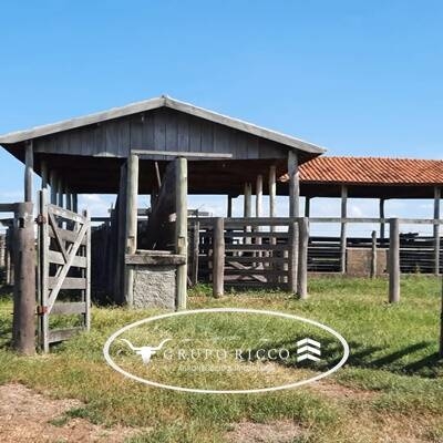 Chãozão - O Maior Portal de Anúncios de Imóveis Rurais do Brasil.