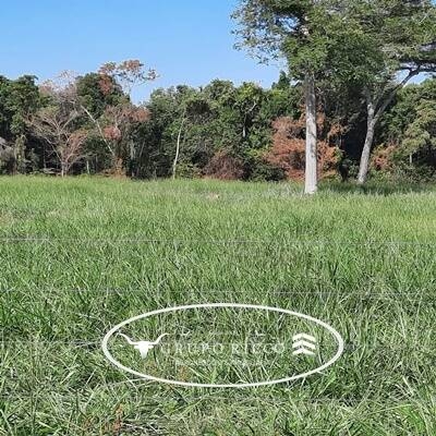 Chãozão - O Maior Portal de Anúncios de Imóveis Rurais do Brasil.