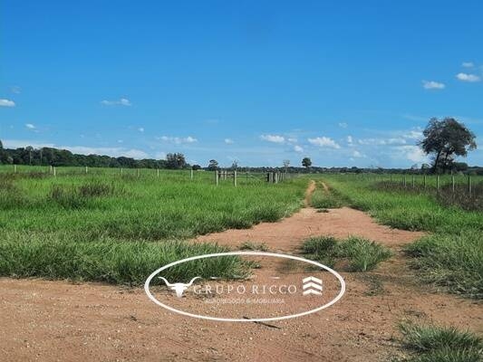 Chãozão - O Maior Portal de Anúncios de Imóveis Rurais do Brasil.