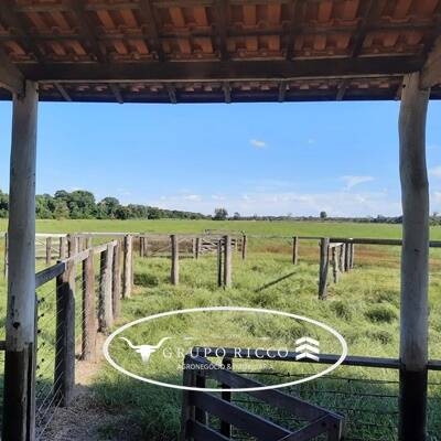 Chãozão - O Maior Portal de Anúncios de Imóveis Rurais do Brasil.