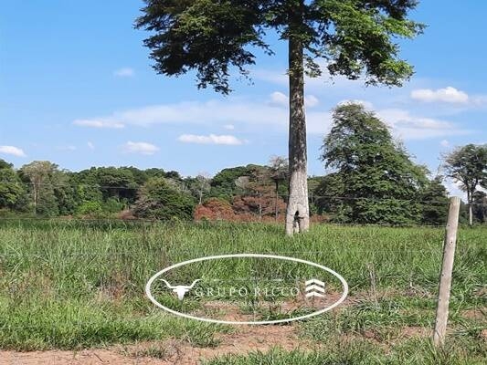 Chãozão - O Maior Portal de Anúncios de Imóveis Rurais do Brasil.