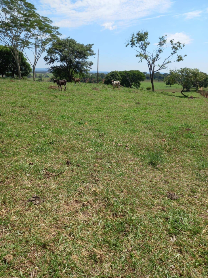 Sítio em Taquaral de Goiás/Goiás — Ref IMN7IT — Imagem 2