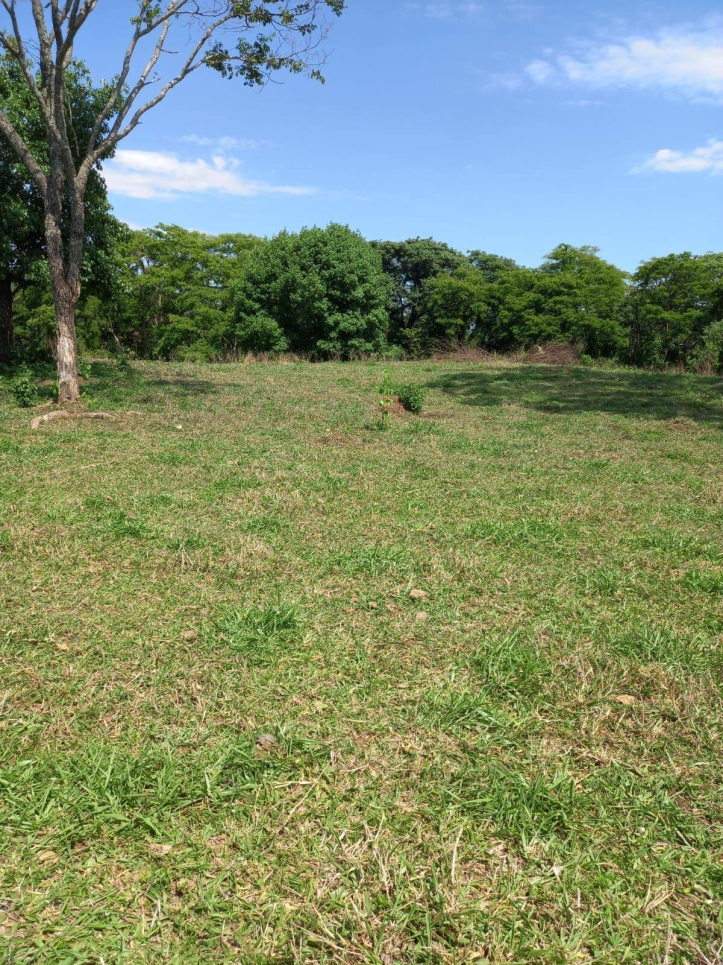 Sítio em Taquaral de Goiás/Goiás — Ref IMN7IT — Imagem 8