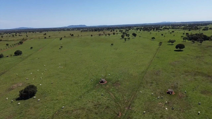 Fazenda em Araguapaz/Goiás — Ref NBSRA6 — Imagem 4