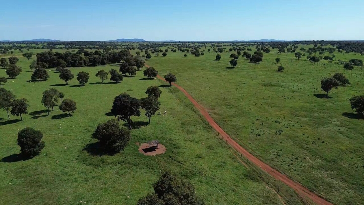 Fazenda em Araguapaz/Goiás — Ref NBSRA6 — Imagem 2