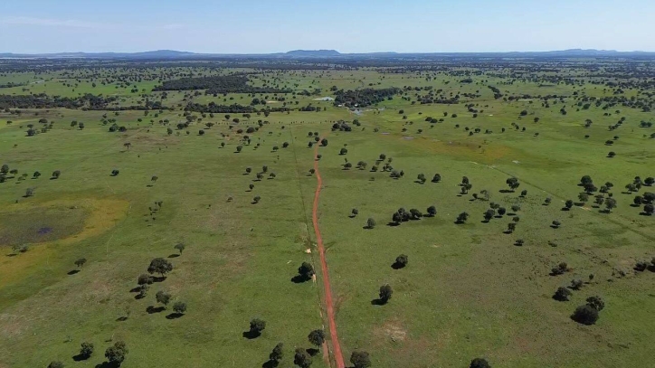 Fazenda em Araguapaz/Goiás — Ref NBSRA6 — Imagem 5