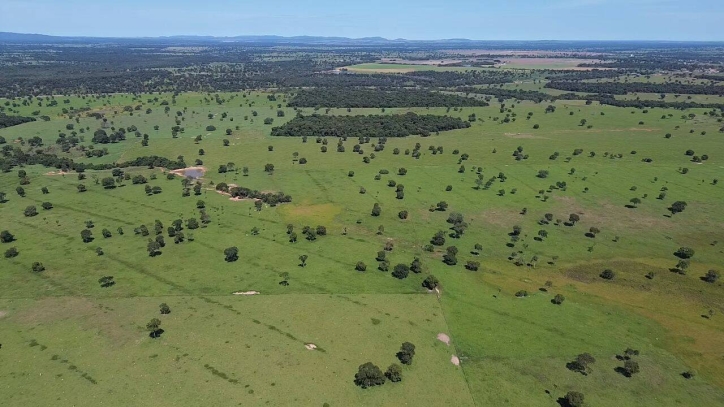 Fazenda em Araguapaz/Goiás — Ref NBSRA6 — Imagem 6