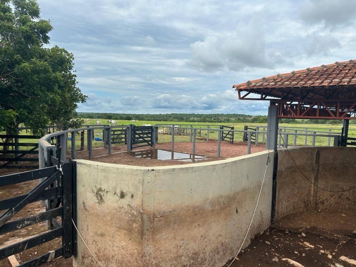 Fazenda em Nova Crixás/Goiás — Ref CH7KDL — Imagem 2