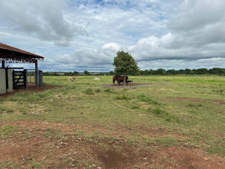Fazenda em Nova Crixás/Goiás — Ref CH7KDL — Imagem 4