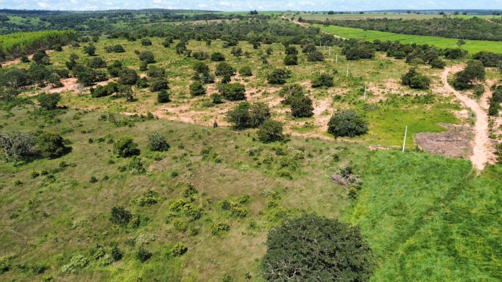 Fazenda em Cachoeira de Goiás/Goiás — Ref RIP6WH — Imagem 2