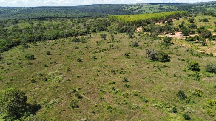 Fazenda em Cachoeira de Goiás/Goiás — Ref RIP6WH — Imagem 3
