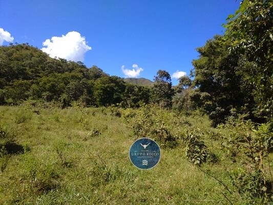 Chãozão - O Maior Portal de Anúncios de Imóveis Rurais do Brasil.