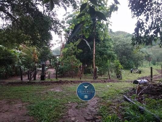 Chãozão - O Maior Portal de Anúncios de Imóveis Rurais do Brasil.