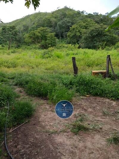 Chãozão - O Maior Portal de Anúncios de Imóveis Rurais do Brasil.