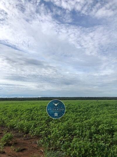 Fazenda em Canabrava do Norte/Mato Grosso — Ref GLRNQK — Imagem 6