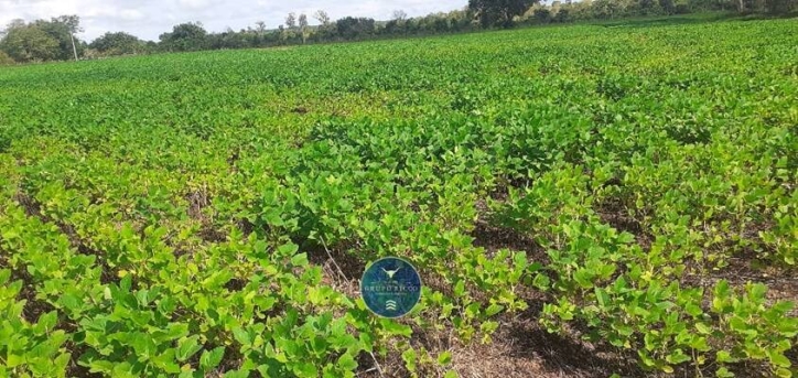 Fazenda em Canabrava do Norte/Mato Grosso — Ref GLRNQK — Imagem 7
