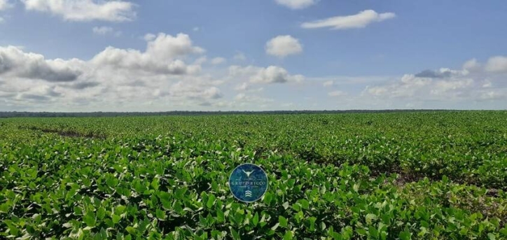 Fazenda em Canabrava do Norte/Mato Grosso — Ref GLRNQK — Imagem 5