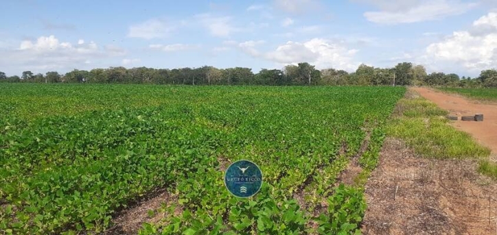Fazenda em Canabrava do Norte/Mato Grosso — Ref GLRNQK — Imagem 4