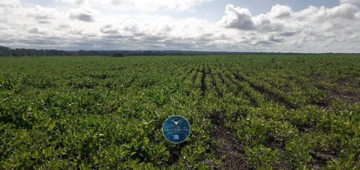 Fazenda em Canabrava do Norte/Mato Grosso — Ref GLRNQK — Imagem 3