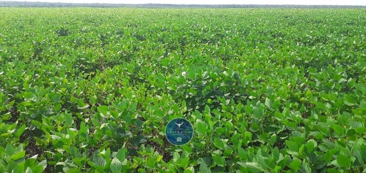 Fazenda em Canabrava do Norte/Mato Grosso — Ref GLRNQK — Imagem 11