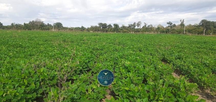 Fazenda em Canabrava do Norte/Mato Grosso — Ref GLRNQK — Imagem 12