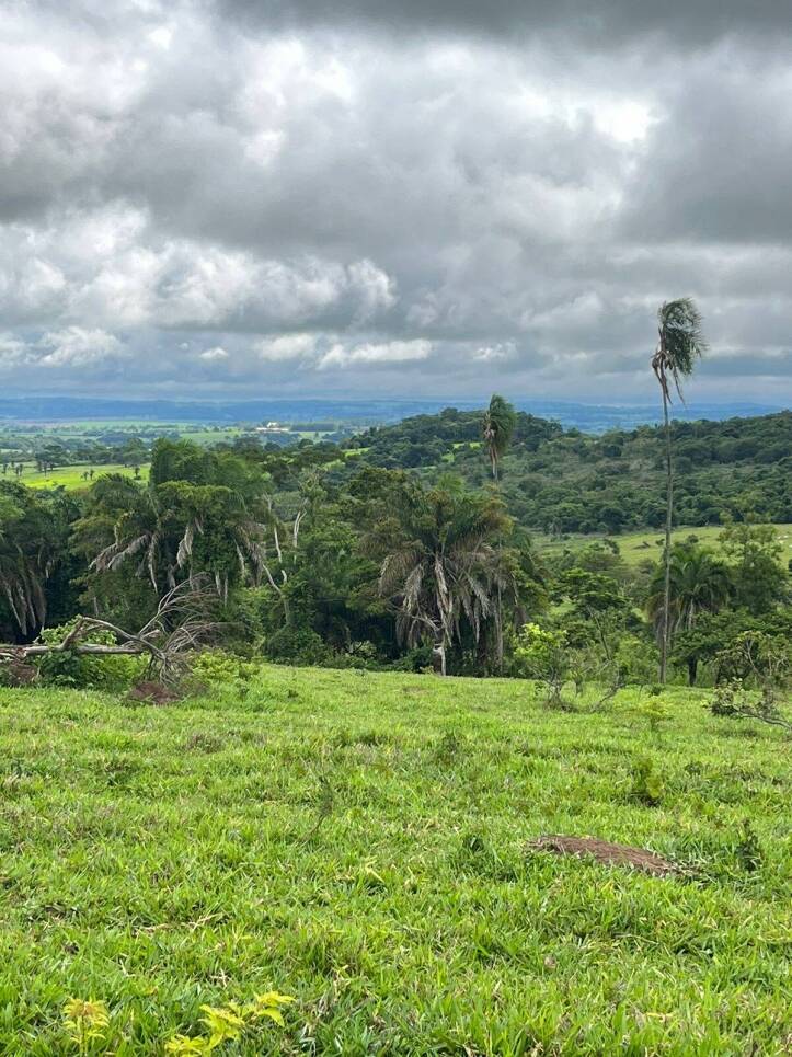 Chãozão - O Maior Portal de Anúncios de Imóveis Rurais do Brasil.