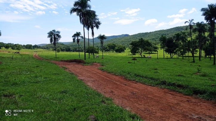 Fazenda em Bom Jardim de Goiás/Goiás — Ref TBJJCE — Imagem 6
