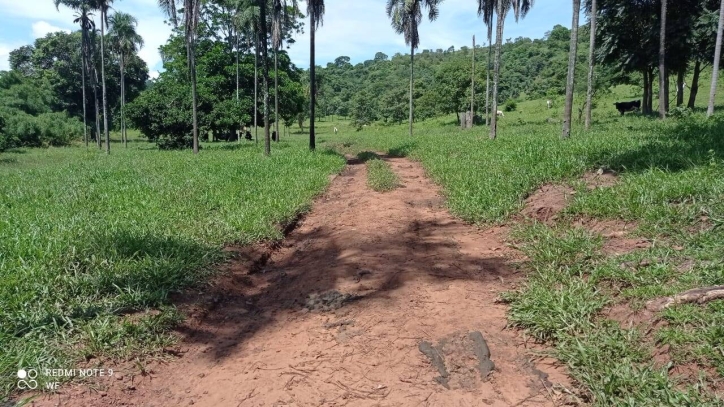 Fazenda em Bom Jardim de Goiás/Goiás — Ref TBJJCE — Imagem 7
