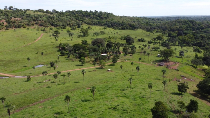 Fazenda em Bom Jardim de Goiás/Goiás — Ref TBJJCE — Imagem 8